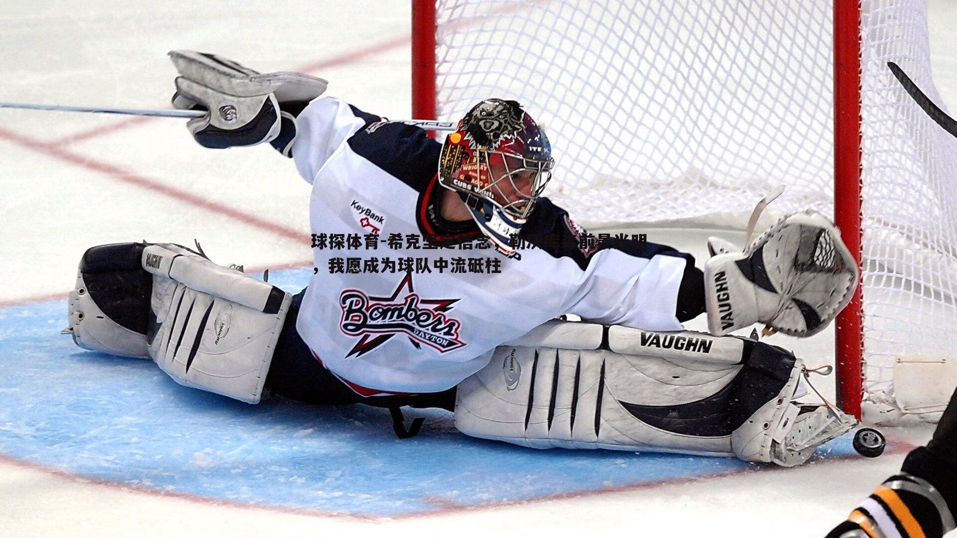 希克坚定信念,勒沃库森前景光明,我愿成为球队中流砥柱