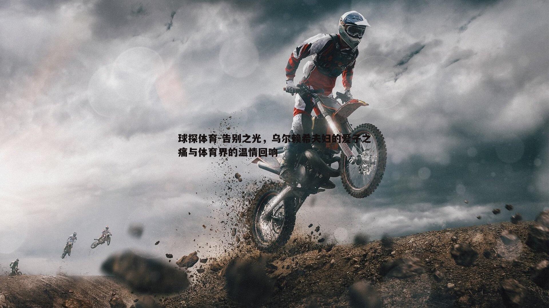 告别之光，乌尔赖希夫妇的爱子之痛与体育界的温情回响